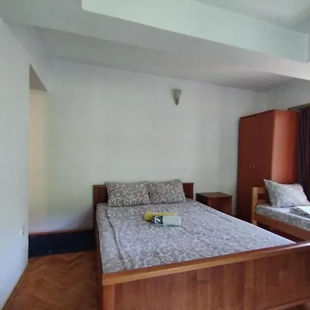 Frühstückspension Marko Niska Banja