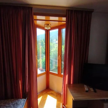 Marko Frühstückspension Niska Banja